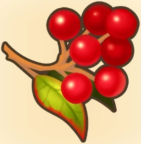 독 치료 베리 이미지