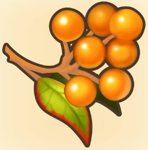 마비 치료 베리 이미지