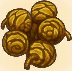 설탕나무 열매 이미지