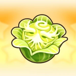 신의 양배추 이미지