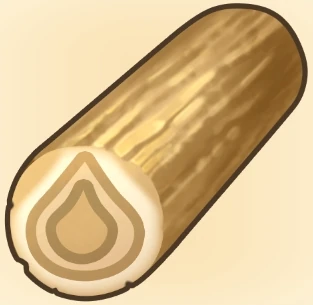 야자수 고목 이미지