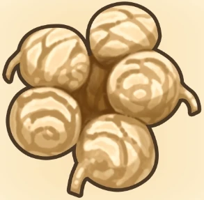 야자수 열매 이미지