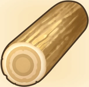 야자수 원목 이미지