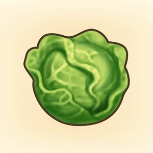 양배추 이미지