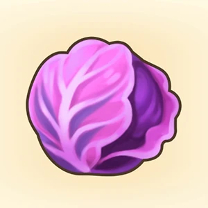 적양배추 이미지