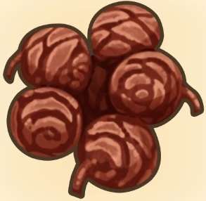 침엽수 열매 이미지