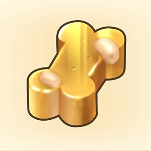 화석 조각 이미지