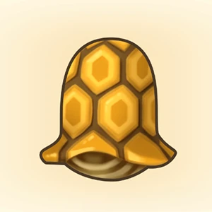 거북이 등껍질 이미지