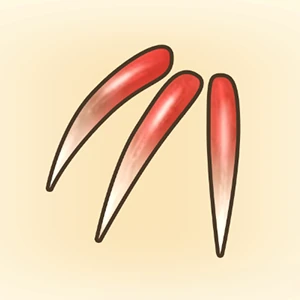 단단한 발톱 이미지