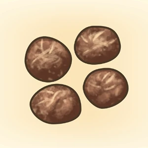 동물의 배설물 이미지