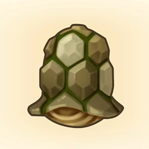 두툼한 등껍질 이미지