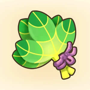 래디슈의 잎 이미지