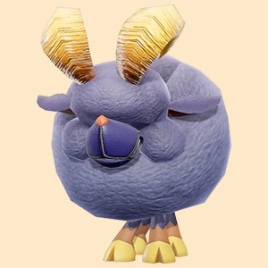 보헤 헤 이미지