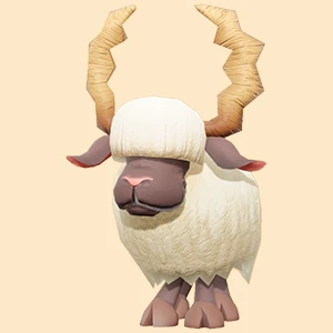 사나운 바하 하 이미지