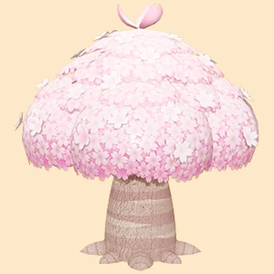 선인 벚나무 이미지