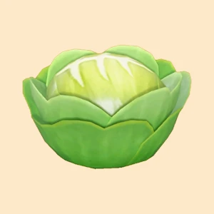 양배추 이미지