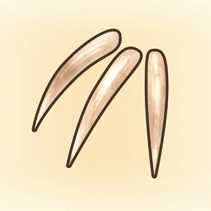 짐승의 발톱 이미지