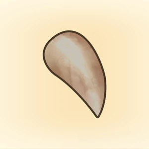 짐승의 송곳니 이미지