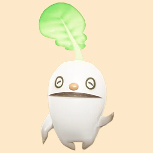 큰 래디슈 이미지