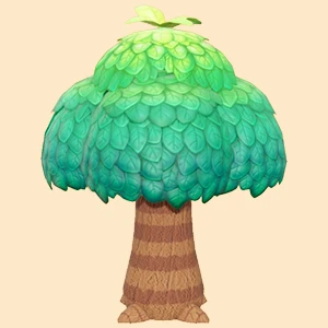 큰 참나무 이미지