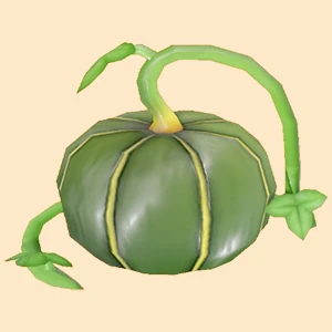 호박 이미지