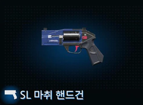 SL 마취 핸드건 이미지