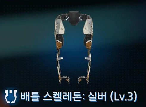 배틀 스켈레톤 실버 (Lv.3) 이미지