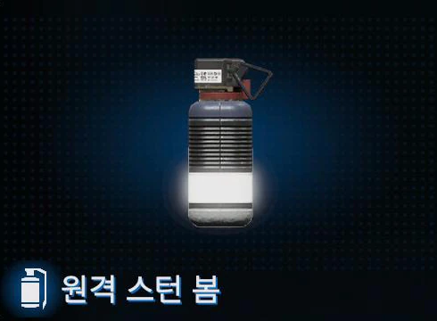 원격 스턴 봄 이미지