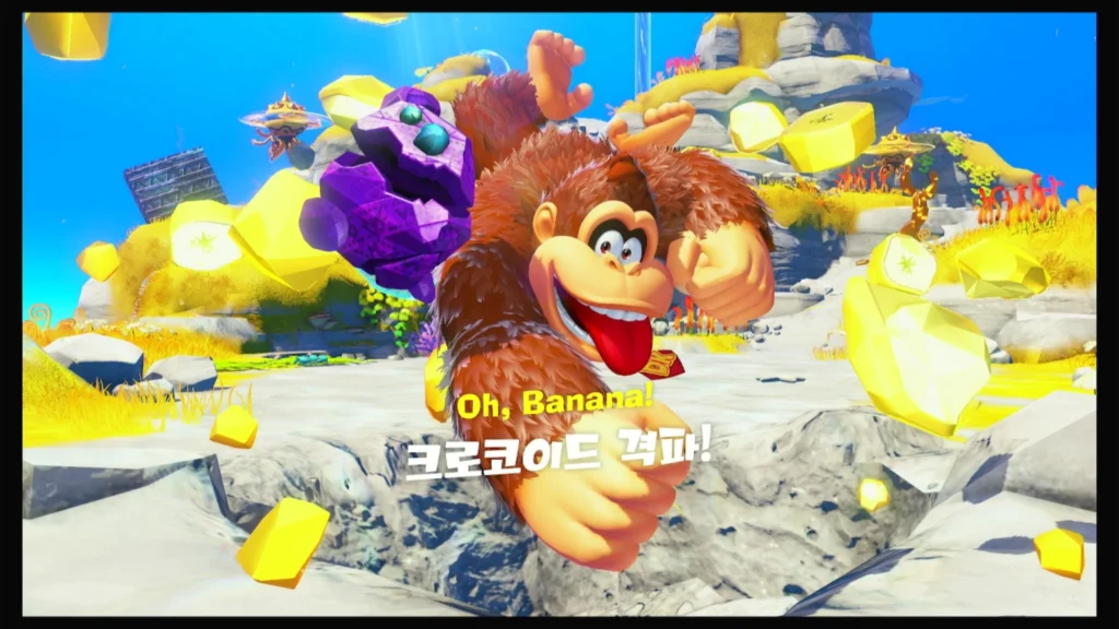 저수지의 계층 대표 이미지