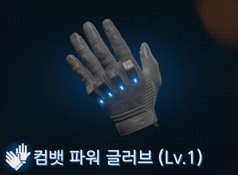 컴뱃 파워 글러브 (Lv.1) 이미지