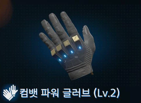 컴뱃 파워 글러브 (Lv.2) 이미지