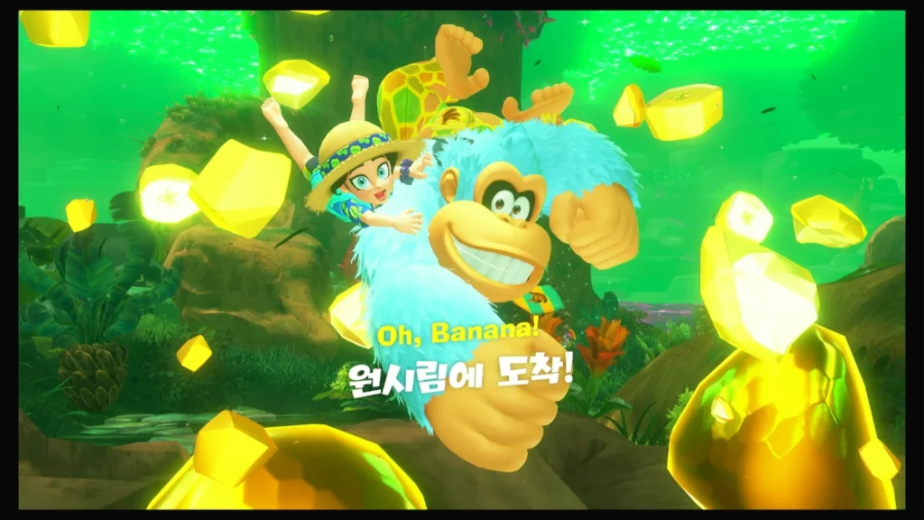 원시림의 계층 대표 이미지